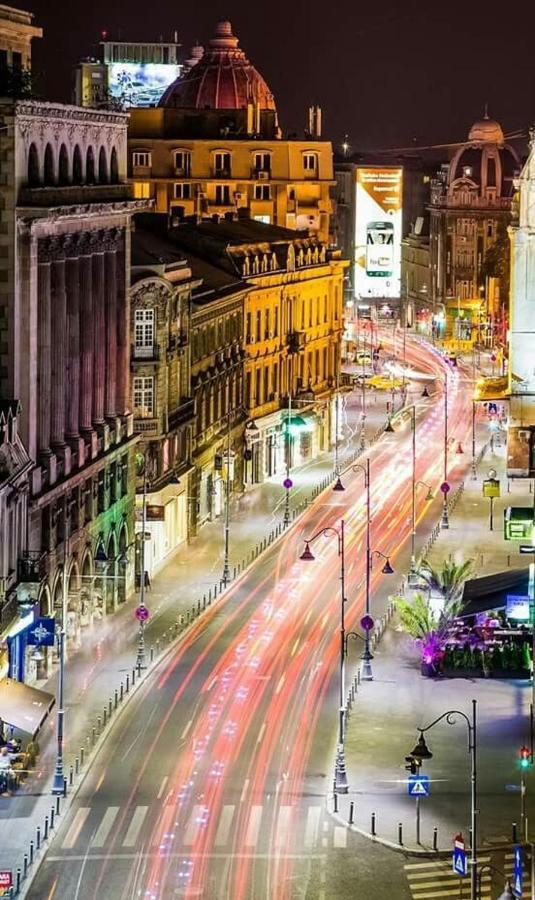 Imob Bibi House Calea Victoriei Apartment *
