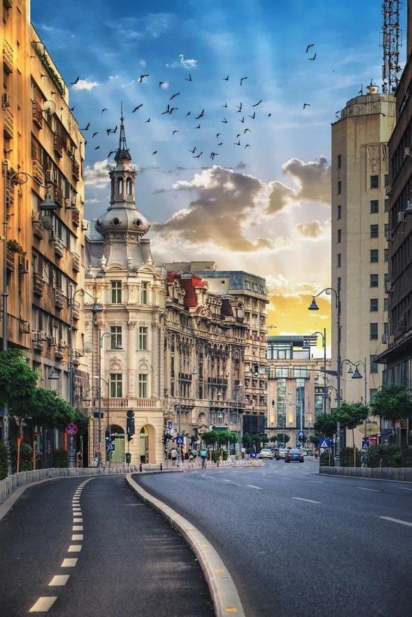Imob Bibi House Calea Victoriei Apartment
